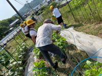 3年1組 レモンタイム_近藤勇輔_うまい会写真_19