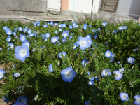 DSC06318