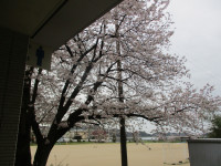IMG_8809