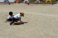 IMG_E0762[1]