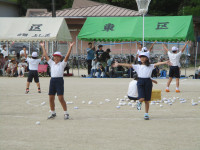 玉入れ白②