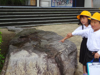 DSC05411