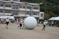 大玉２