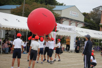 大玉５