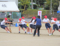 綱引き紅組